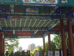 -莲花池公园