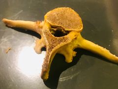 羊蝎子火锅-红钳侠小龙虾·烧烤(中赢康康谷店)