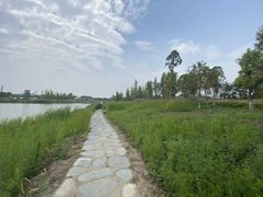 -白鹭湾湿地公园