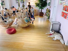 -Husky Go! 哈士奇体验馆·宠物咖啡厅狗咖