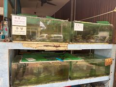 -真浪大家乐海鲜餐馆