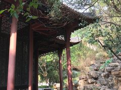 -顺峰山公园