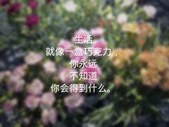 -旺角小渔村(幸福中路店)