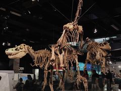 -墨尔本博物馆(Melbourne Museum)