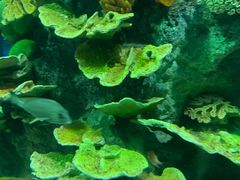 -福州罗源湾海洋世界旅游区