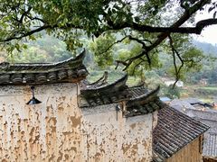 -杨家堂村