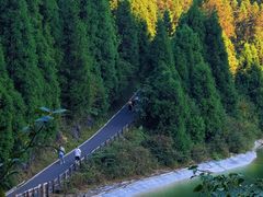 -武陵山森林公园