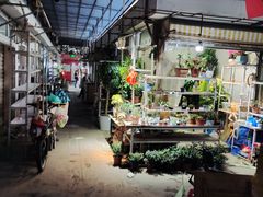 -万商花鸟市场