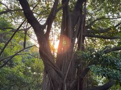 -广州市白云山风景名胜区