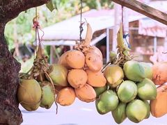 -羊栏农贸市场(羊新路店)