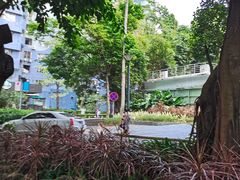 -星巴克(深圳侨城街店)