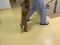 -芭比堂动物医院·犬猫全科·异宠专科(雁塔分院)