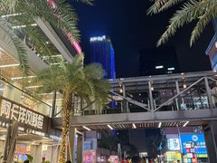 -珠海圆明新园