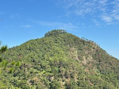 -羚羊峡古栈道森林公园
