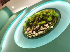 -柠檬树茶餐厅(海雅缤纷城店)