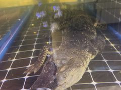 -川骄海鲜自助(河东店)