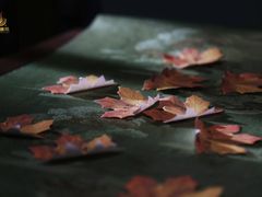 -汉艺唐风茶艺培训(联发华美空间店)