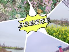 -武汉紫薇都市田园