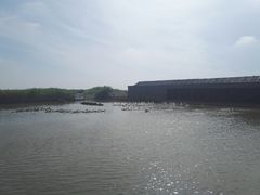 -东方华地城湿地温泉度假区