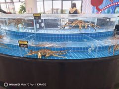 -中国舟山国际水产城