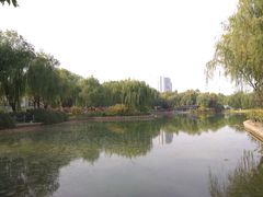 -康庄公园