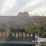 氛围感餐厅大赏 餐厅的环境氛围感很好，依窗外望