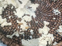 -大清花饺子城(昌黎店)