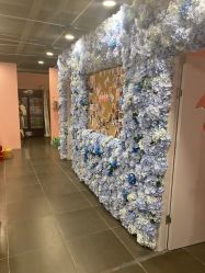 -doladola(徐家汇店)