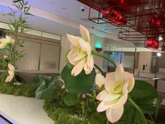 -海底捞火锅(高科广场店)