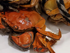 -五月罗马海鲜自助餐厅(陆家嘴店)