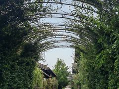 -茅山东方盐湖城景区