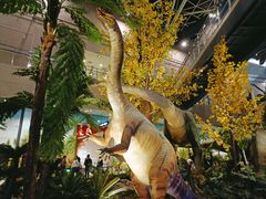 -湖南省地质博物馆