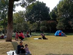 -杭州城北体育公园