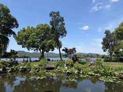 -杭州西湖柳莺里酒店