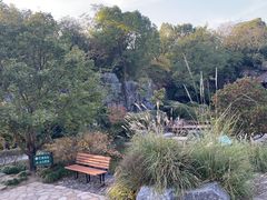 -上海吴淞炮台湾国家湿地公园