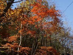 -丹东天桥沟景区