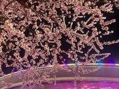 -华熙生物·润百颜ECM中心
