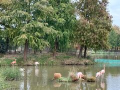 -宁波杭州湾国家湿地公园