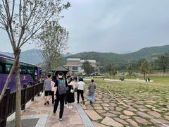 景点-云台山风景名胜区