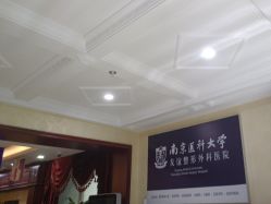 -南京医科大学友谊整形外科医院