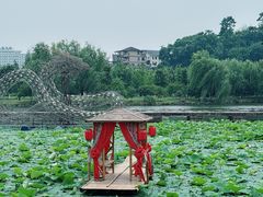 -鲁镇