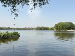 -石家庄市植物园