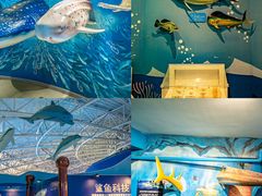 -烟台海昌鲸鲨海洋公园