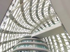 -凤凰中心