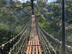 -清迈丛林飞跃 JungleFlight