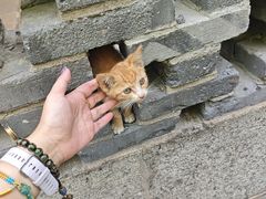 -淄博聊斋城景区