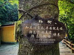 -普陀山慧济禅寺