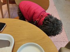 -COSTA COFFEE(广州广粤天地店)