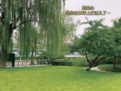 -元大都城垣遗址公园