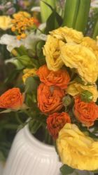 -联合丽格·张菡丽格医疗美容